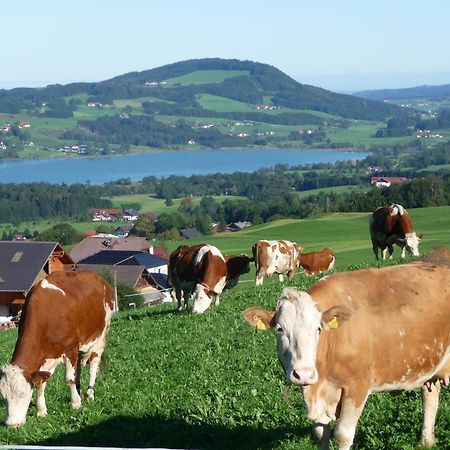 Familienferienhof Stabauer Zell am Moos Exterior photo