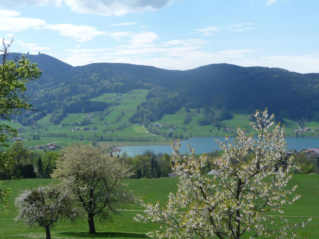 Familienferienhof Stabauer Zell am Moos Exterior photo
